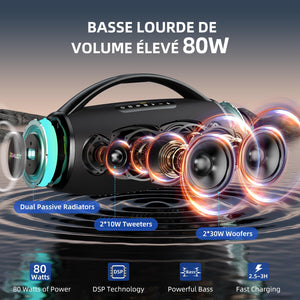 ZEALOT S97 - 100W (Portable/Sangles)